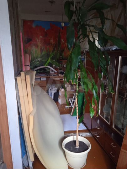 Дом 67 м² на участке 4 сот.