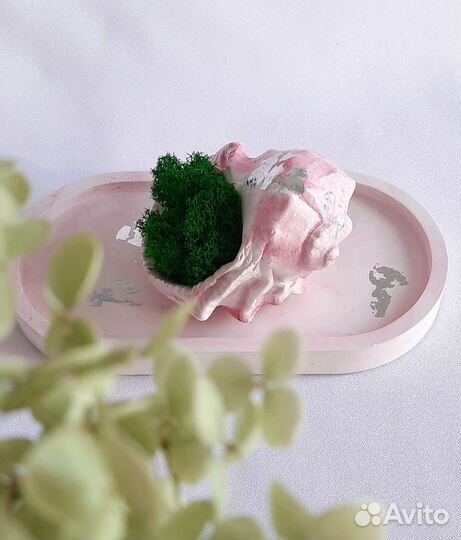 Гипсовая ракушка