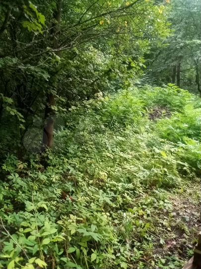 Дача 34 м² на участке 9 сот.