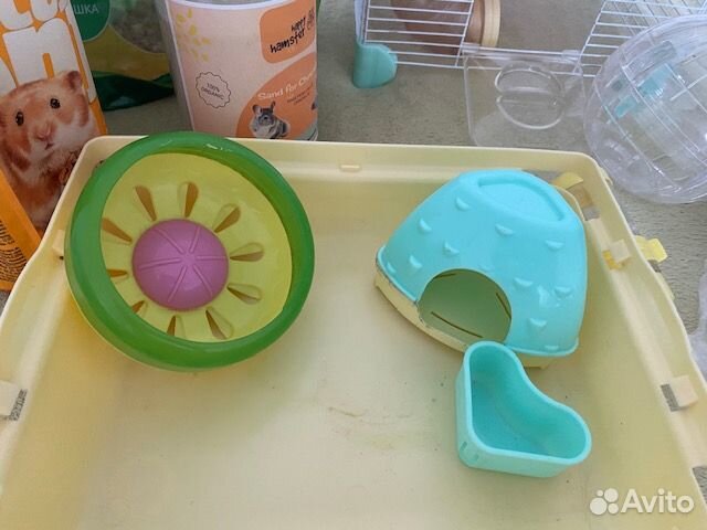 Клетка для грызунов, корм, песок для купания, прог