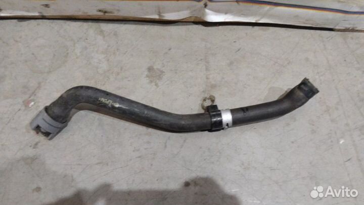 Патрубок радиатора Mazda Mazda 3 BL Z6 2010