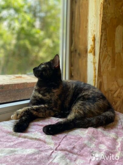 Малышка Гера