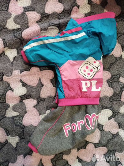 Комбинезон для маленькой собаки осень