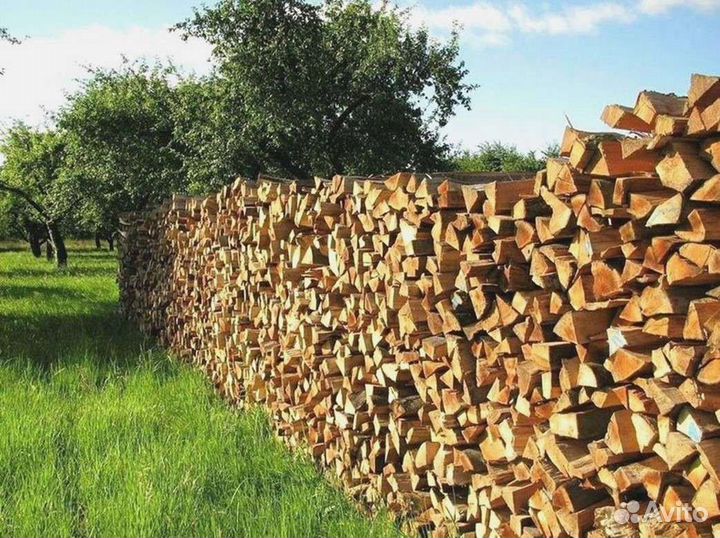 Дрова березовые от производителя