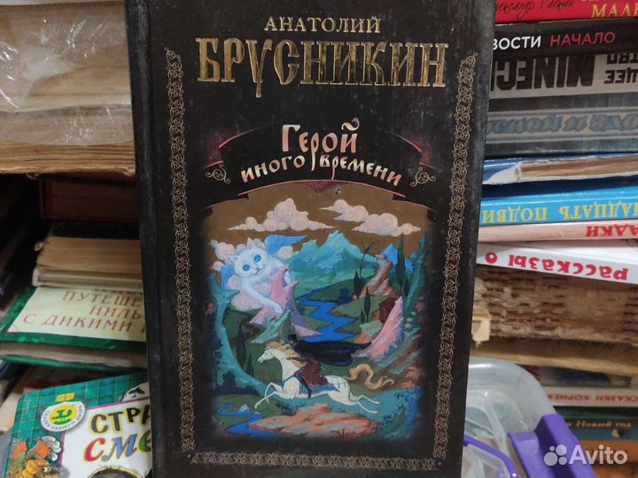 Герой иного времени Анатолий Брусникин