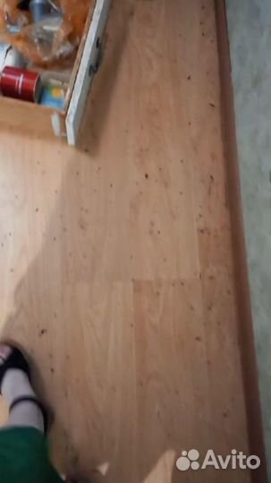 Дезинфекция уничтожение тараканов клопов гарантия