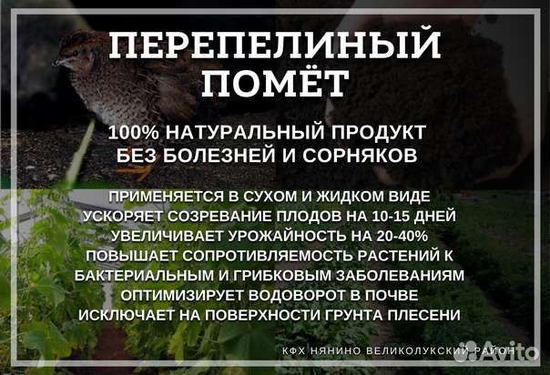 Перепелиный помет