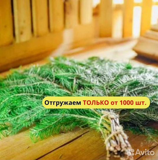 Веники пихтовые от производителя