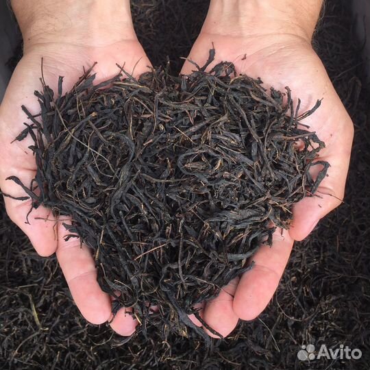 Иван-чай, листовой, свежий урожай