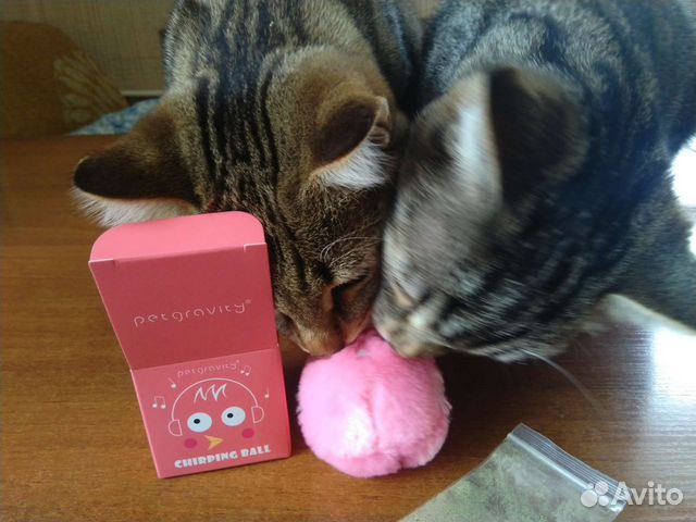 Игрушки для кошек со звуком