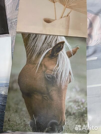 Картина на холсте интерьерная