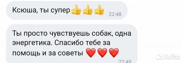 Дрессировка и зоогостиница