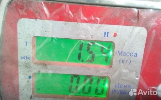 Шкив коленвала демпферный дизельный ford focus 3