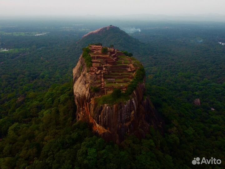 Отдых на Sri-Lanka от 7 ночей за 2-х человек