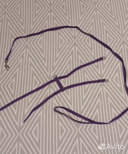 Одежда для собак мелких пород