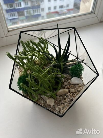 Флорариум с цветами
