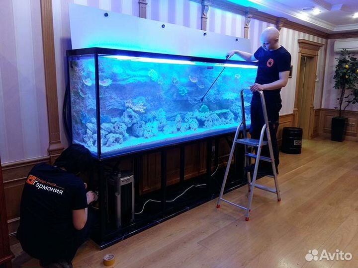 Чистка и обслуживание аквариумов