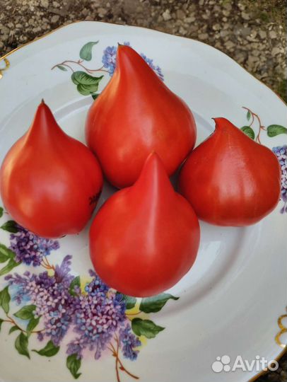 Томат Углерод и др