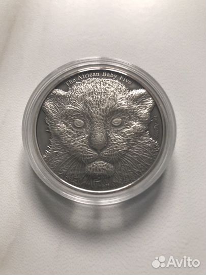 Бурунди 5000 франков детёныш леопарда