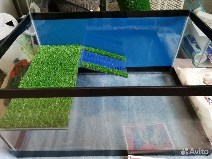 Новый Черепашник