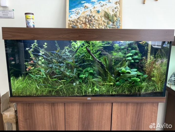 Обслуживание аквариумов