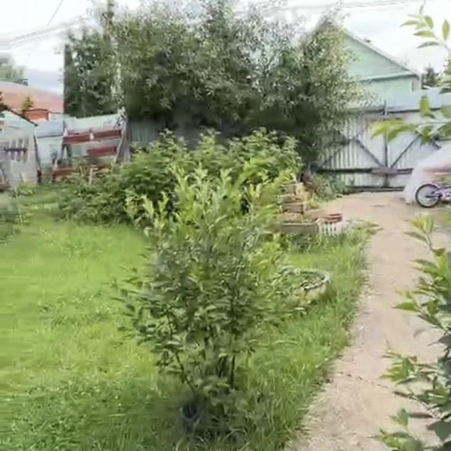Участок 5,2 сот. (ИЖС)