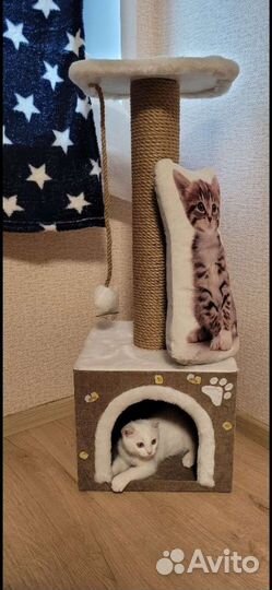 Когтеточка с домом