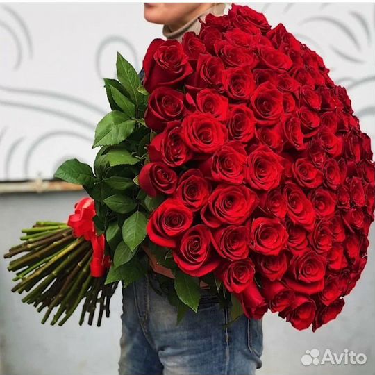 Розы 25 шт, 51 шт, 101 шт, доставка