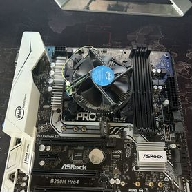 Материнская плата Asrock b250m pro 4