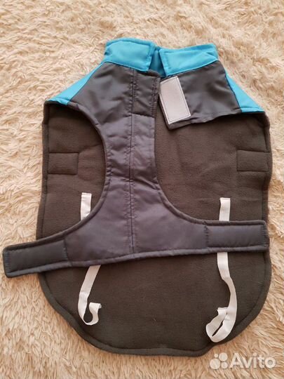 Одежда для собак