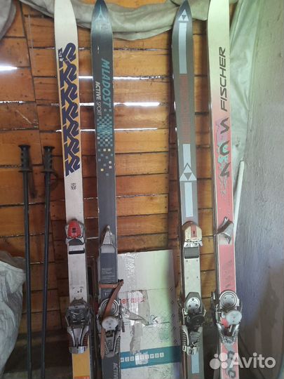 Горные лыжи