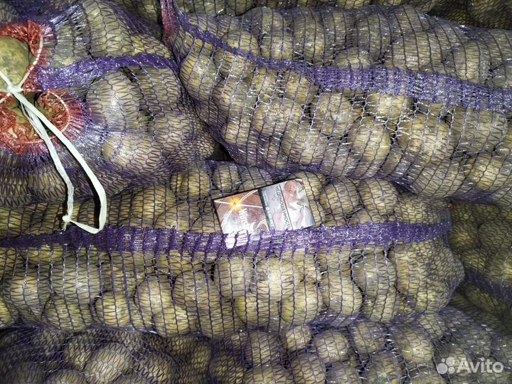 Продам картофель