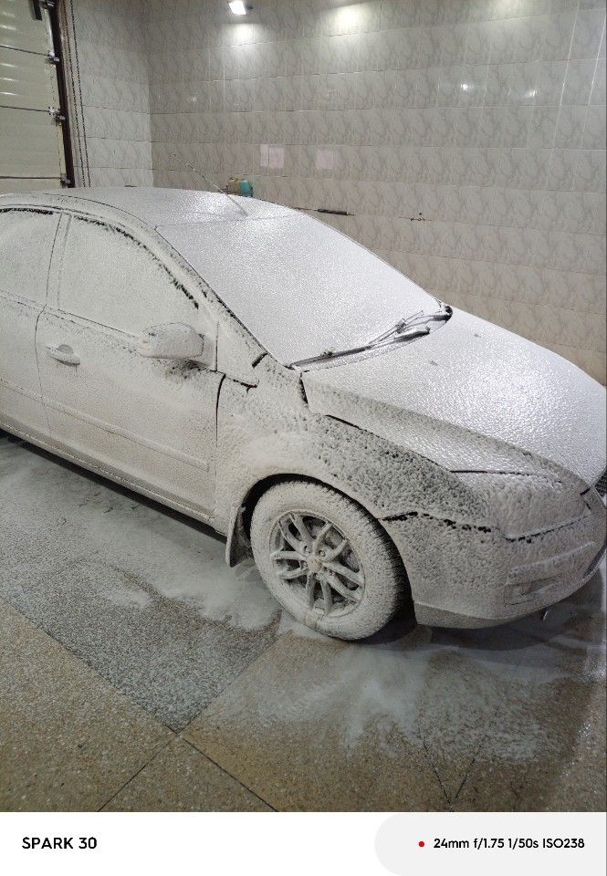 Ford Focus: фото владельца