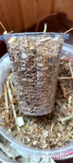 Семена укропа, Мальвы и рассада Календулы