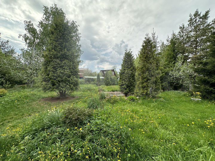 Участок 6,2 сот. (СНТ, ДНП)