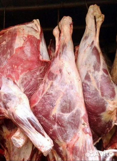 Свежее мясо свинина и говядина