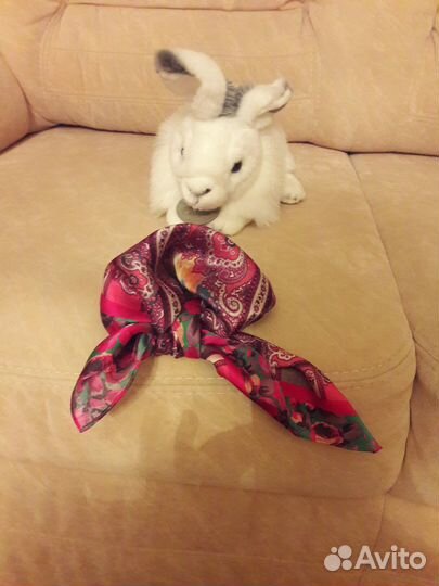 Шелковый платок бренда Eleganzza