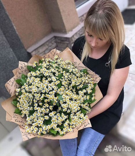 Цветы ромашки