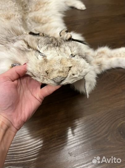 Шкуры рыси имитация