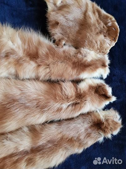 Шкуры куницы,1988г,фабричные,редкость