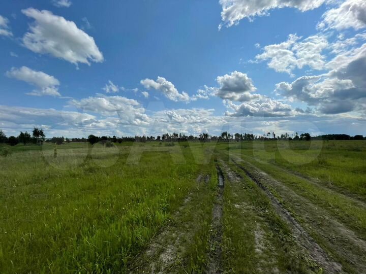 Участок 6,06 га (СНТ, ДНП)