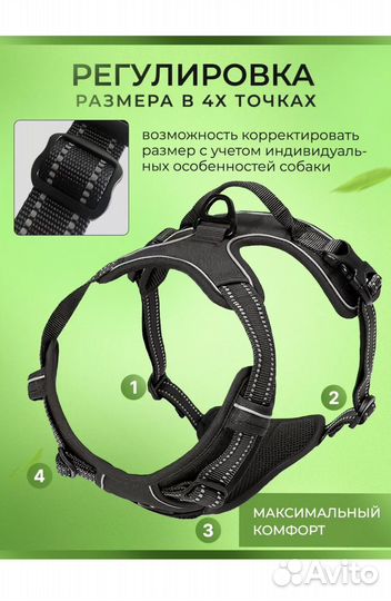 Шлейка анатомическая для собак