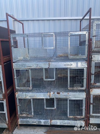 Клетки для кроликов