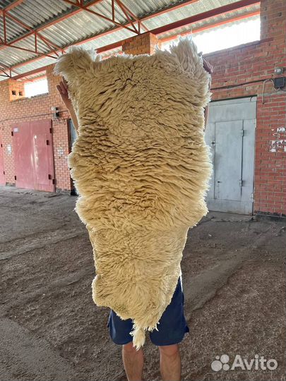 Шкура Ламы