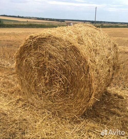 Солома в тюках