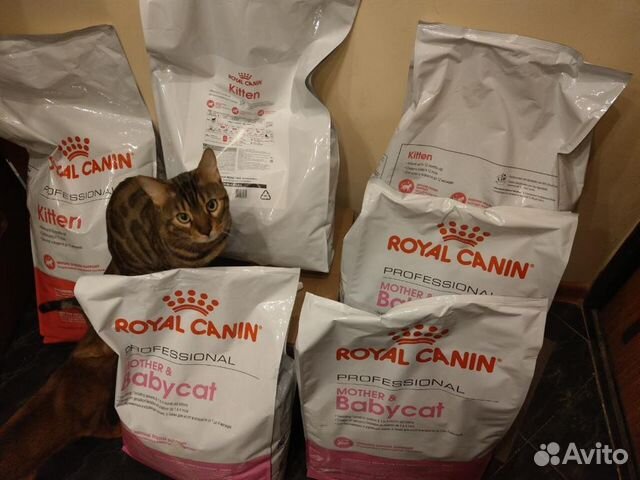 Корм для кошек Royal Canin (Роял Канин)