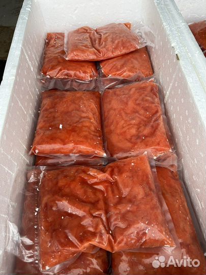 Мясо Семги С/М