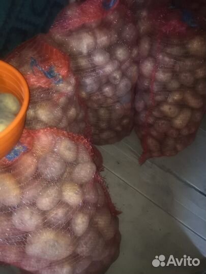 Картофель домашний деревенский