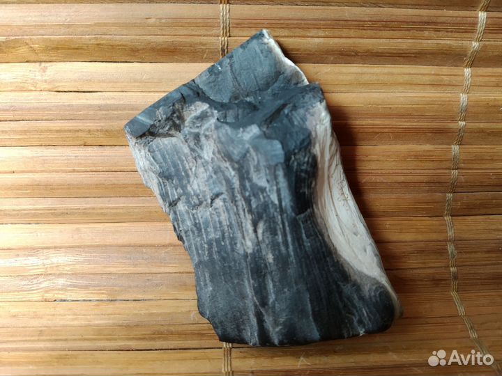 Окаменелое дерево минерал окаменелость