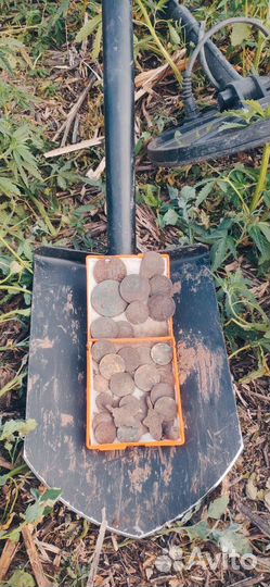 Аренда металлоискателя